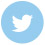 Twitter icon with link to site