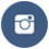 Instagram icon with link to site