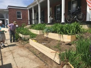 KeeneSeniorCenter | Antioch University Keene, Garden, plants, senior center, green