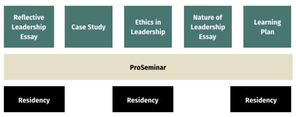 phd in leadership usa