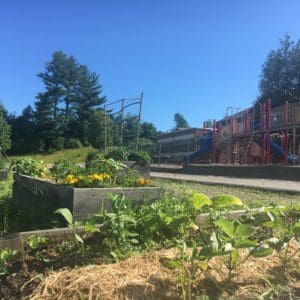 Fuller Elementary School garden beds