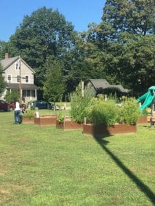 Garden beds at Rec center