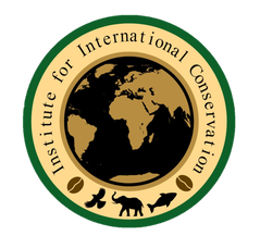 IIC Logo