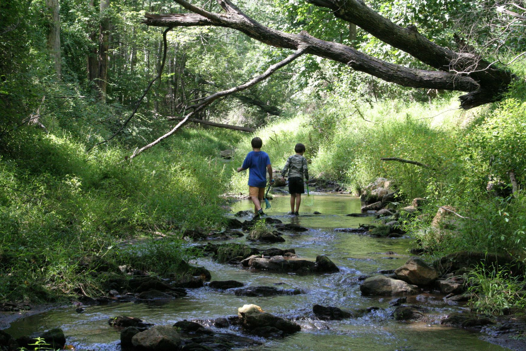 GettyImages-139989575 › Antioch University Kids playing in stream