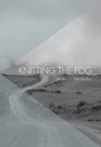 A book cover with an image of a foggy road with a light blue triangular overlay