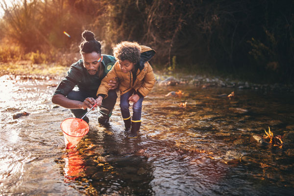 Man and child in a stream collecting with a small net.